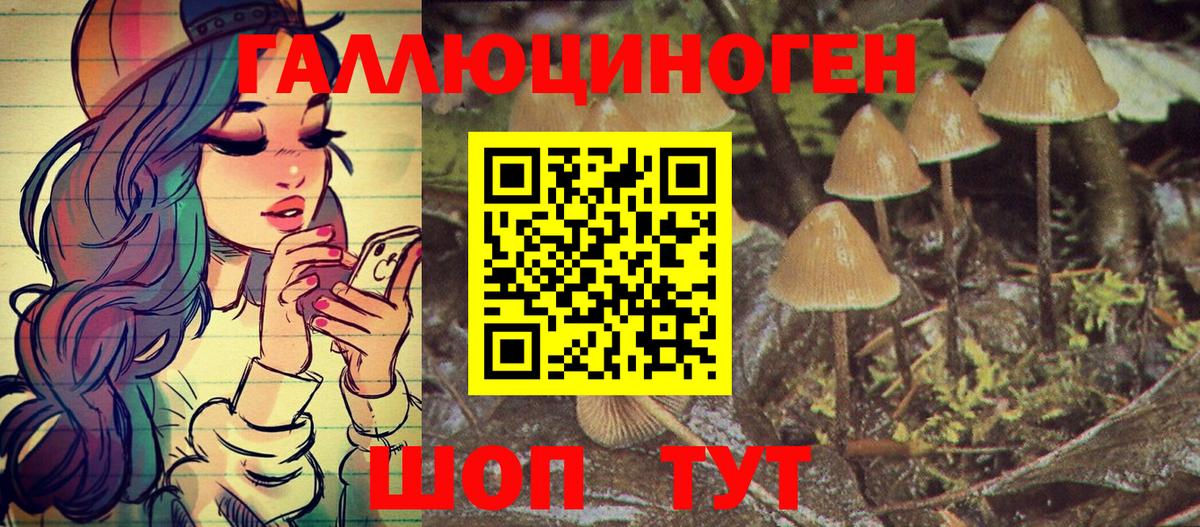 Галлюциногенные грибы MAGIC MUSHROOMS  Вход с VPN  где продают   Чехов 