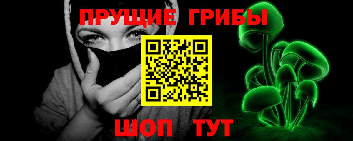 Псилоцибиновые грибы Psilocybine cubensis Чехов